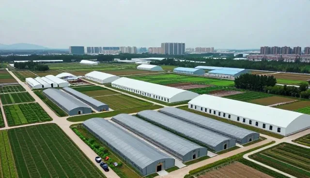 研学旅行策划商务会议接待套餐怎么做得更稳:包车一线经验